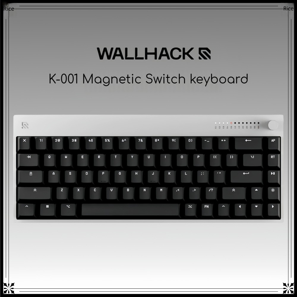WALLHACK K-001 홀 이펙트 마그네틱 스위치  - Gaming Keyboard Hall Effect Switches 리뷰 및 가격